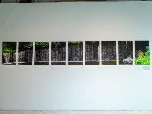 軽井沢の白糸の滝の分割写真